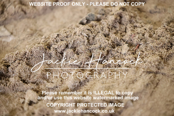 R5JH1043