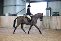 Class 21 - ridden riding horse