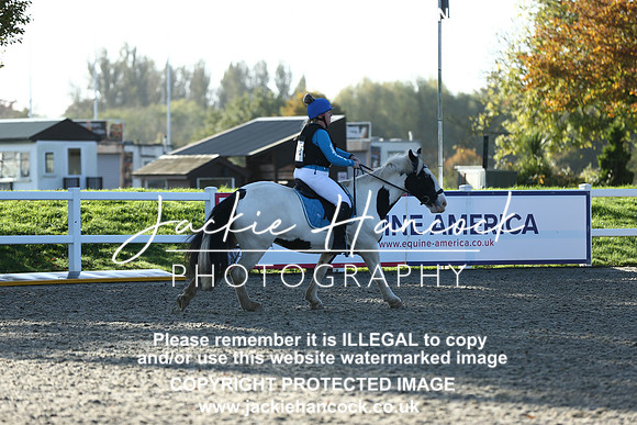 MS2_0092