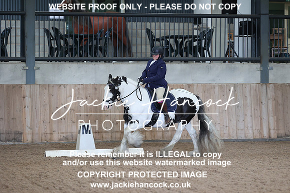 JHP_7461