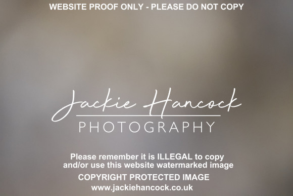 R5JH3053