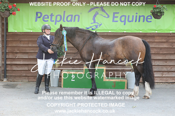 JHP_3139