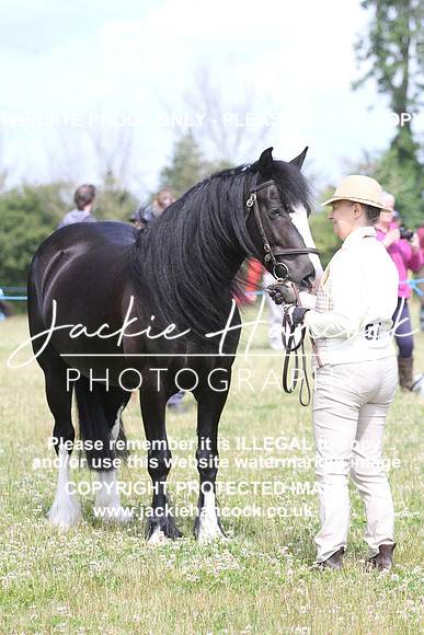 IMG_3121