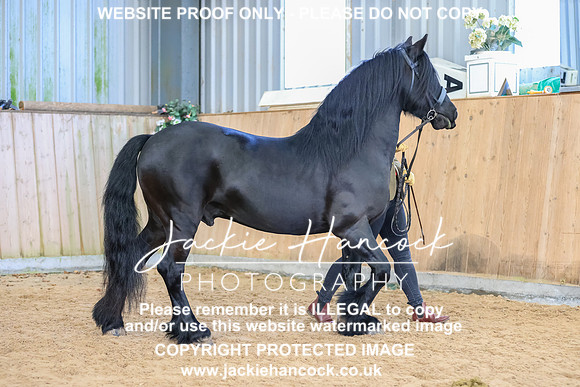 GLP-0503-094335