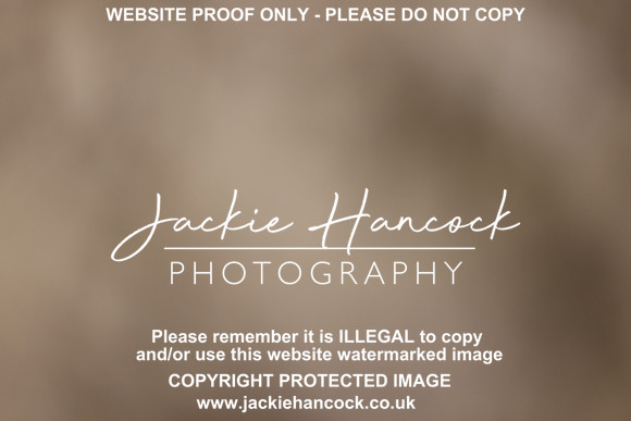 R5JH0737