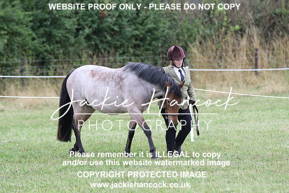 6V7A5669