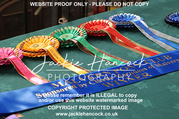 JHP_9256