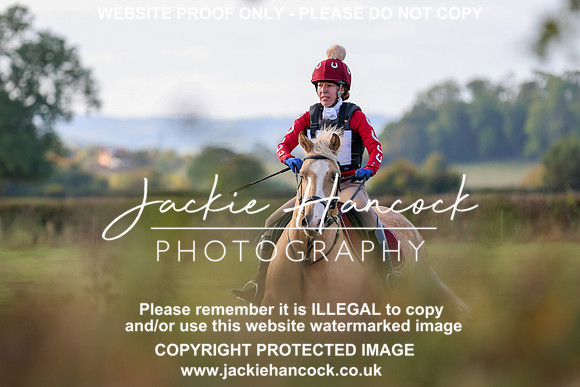 3D3A5309