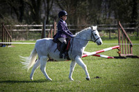 Ring 3 - Showing