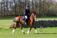 Dressage