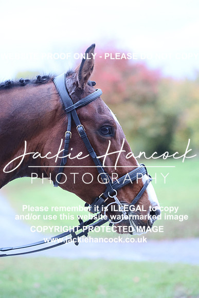 JHP_4136