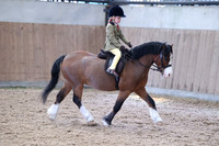 Class 9 - walk and trot