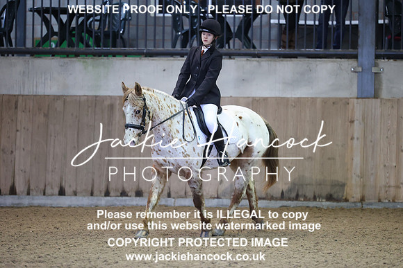 JHP_5381