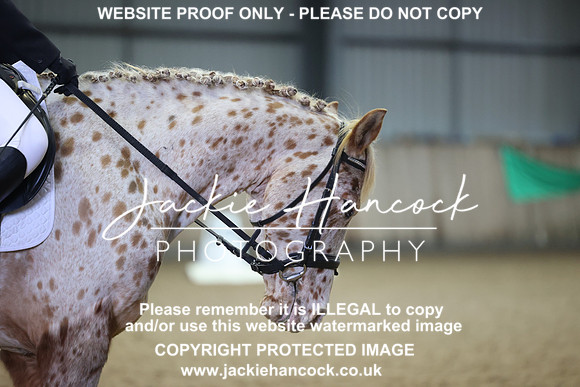 JHP_5411
