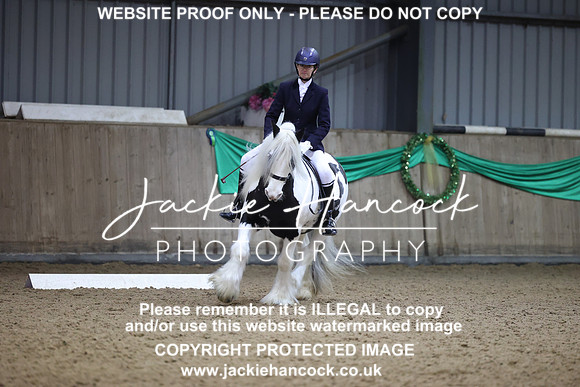JHP_6033