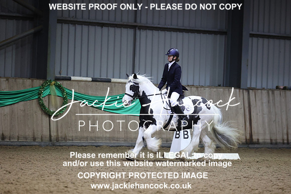 JHP_6060