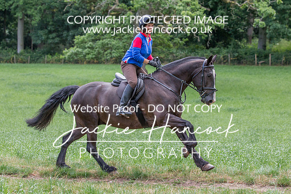 120140-UCP-3