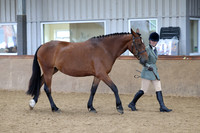 Class 5 - ID potential brood mare