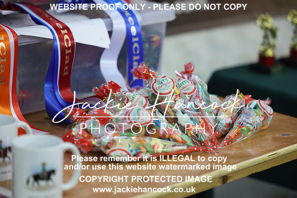 JHP_7391