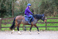 Class 3 - Best Pony Club Pony
