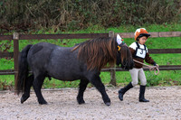 Class 5 - Best Young Handler