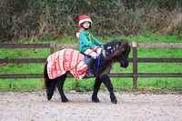 Class 6 - Prettiest Mare