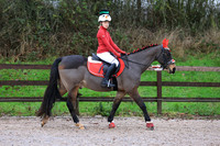 Class 7 - Handsome Gelding