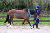 Class 8 - Judge to take home