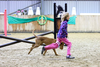 Class 5 - Horse and Hound