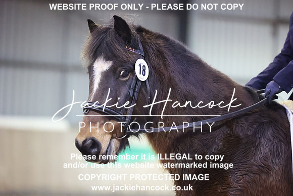 JHP_8296