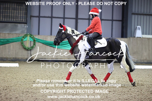 JHP_8339