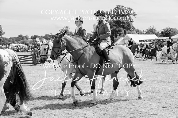 120133-UCP-2