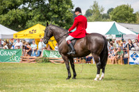 132901-UCP