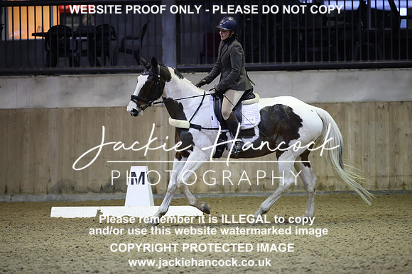JHP20113