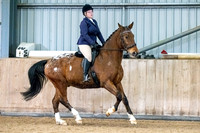 Class 11 - Ridden Coloured/Spotted