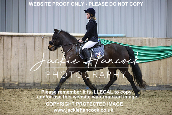 JHP21029