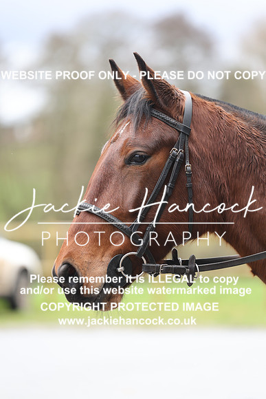 JHP21217