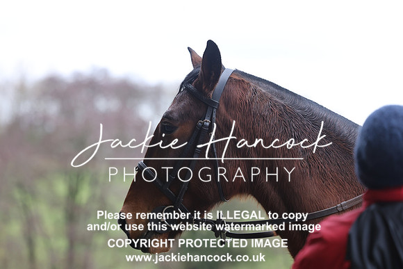 JHP21198