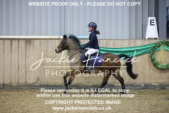 JHP21053
