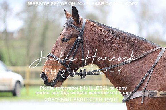 JHP21214