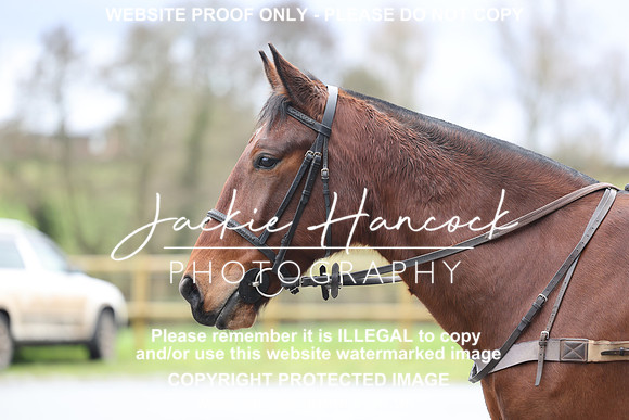 JHP21215