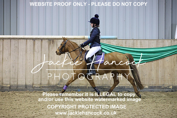 JHP21019