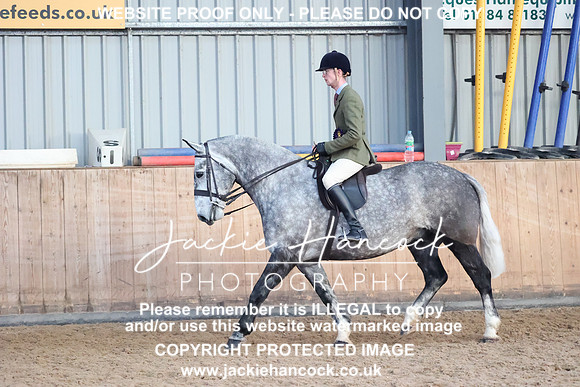 JHP_2011