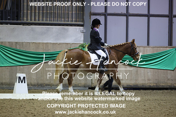 JHP20004