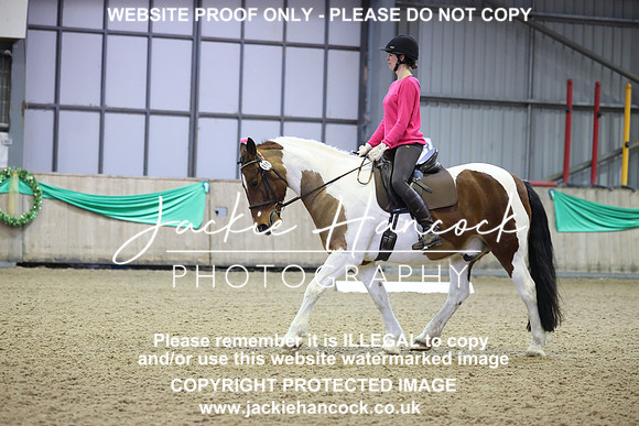 JHP20110