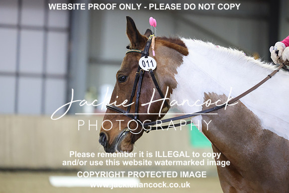 JHP20131