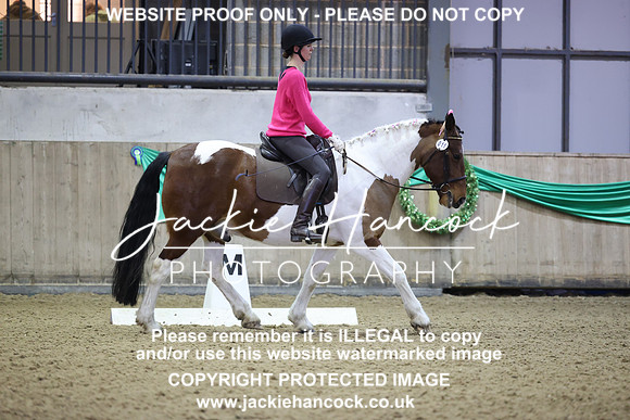 JHP20133