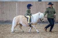 Class 7 - handsome gelding