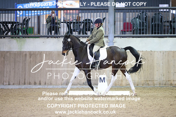 JHP21062