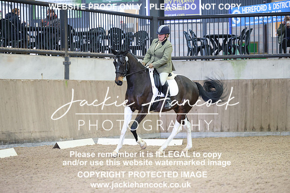 JHP21063